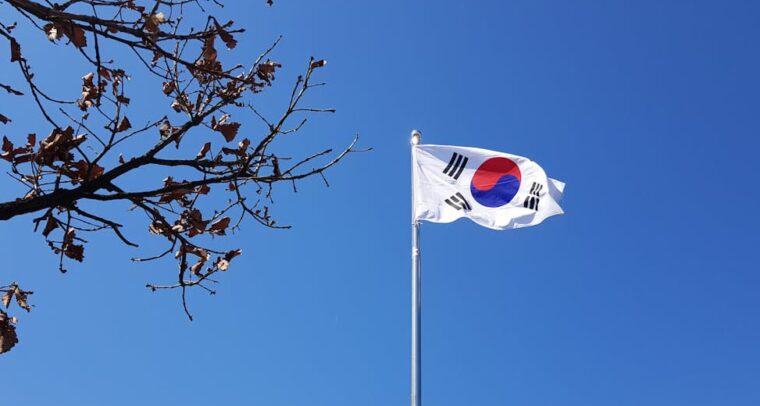 South Korean flag waving on a flagpole in Yongin-si, Gyeonggi-do, with a clear blue sky and autumn tree branches in the foreground. Korea